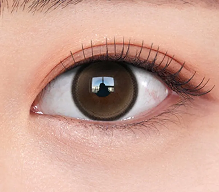 라라티어 브라운